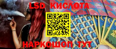 гидра Новозыбков