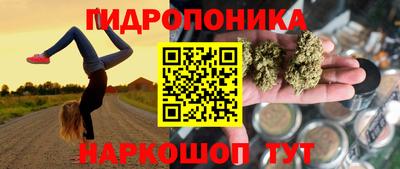 амф Новодвинск