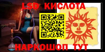 гидра Новозыбков