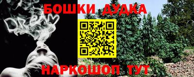 гидра Новозыбков