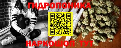 гидра Новозыбков
