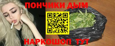гидра Новозыбков