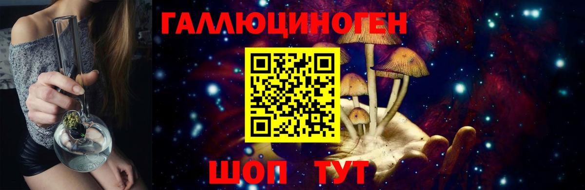 Краснознаменск  где найти   Вход с VPN  Псилоцибиновые грибы Cubensis 